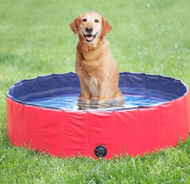 Piscina Mascota Refrescante
